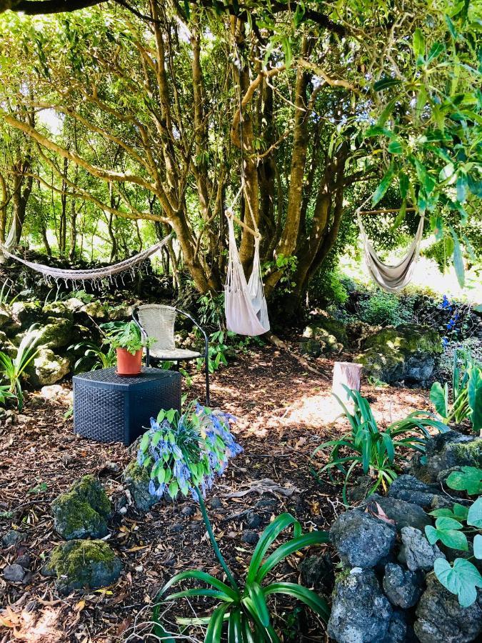 Quinta Pereirinha Farm - A Private 3 Bedroom Vacation Home, Close To Hiking W Ocean Views - Pico Island, Azores São Roque do Pico Eksteriør bilde